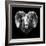 Ram Head-Lisa Kroll-Framed Premium Giclee Print