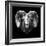 Ram Head-Lisa Kroll-Framed Premium Giclee Print