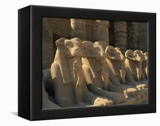 Ram-Headed Sphinxes of the Processional Avenue, at the Temple of Karnak, Thebes, Egypt-Richardson Rolf-Framed Premier Image Canvas