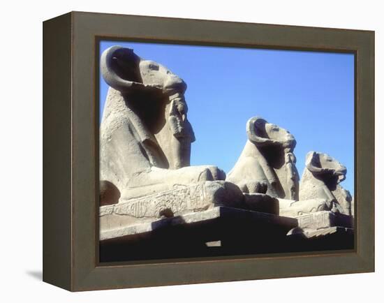 Ram-Headed Sphinxes, Temple of Amun, Karnak, Egypt-CM Dixon-Framed Premier Image Canvas