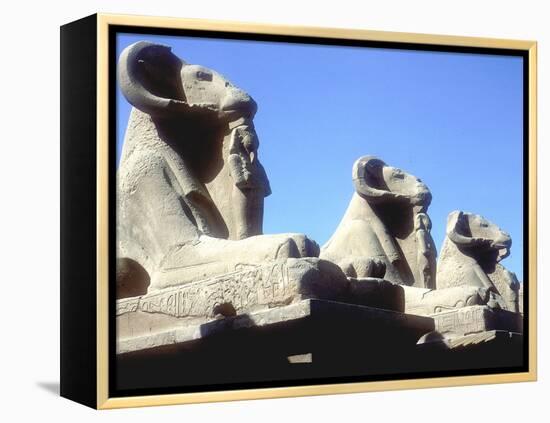 Ram-Headed Sphinxes, Temple of Amun, Karnak, Egypt-CM Dixon-Framed Premier Image Canvas