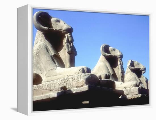 Ram-Headed Sphinxes, Temple of Amun, Karnak, Egypt-CM Dixon-Framed Premier Image Canvas