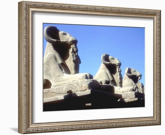 Ram-Headed Sphinxes, Temple of Amun, Karnak, Egypt-CM Dixon-Framed Photographic Print