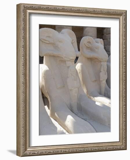 Ram Headed Sphinxes, Temple of Karnak, Near Luxor, Thebes, UNESCO World Heritage Site, Egypt-Groenendijk Peter-Framed Photographic Print