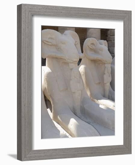 Ram Headed Sphinxes, Temple of Karnak, Near Luxor, Thebes, UNESCO World Heritage Site, Egypt-Groenendijk Peter-Framed Photographic Print