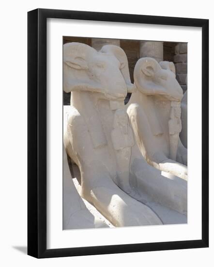 Ram Headed Sphinxes, Temple of Karnak, Near Luxor, Thebes, UNESCO World Heritage Site, Egypt-Groenendijk Peter-Framed Photographic Print