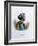 Ram Mohan Roy, Founder of the Brahmo Samaj, 1828-Marlet et Cie-Framed Giclee Print