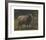 Ram-Rosa Bonheur-Framed Premium Giclee Print