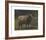 Ram-Rosa Bonheur-Framed Premium Giclee Print