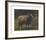 Ram-Rosa Bonheur-Framed Premium Giclee Print