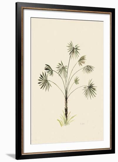 Rambala-The Vintage Collection-Framed Giclee Print