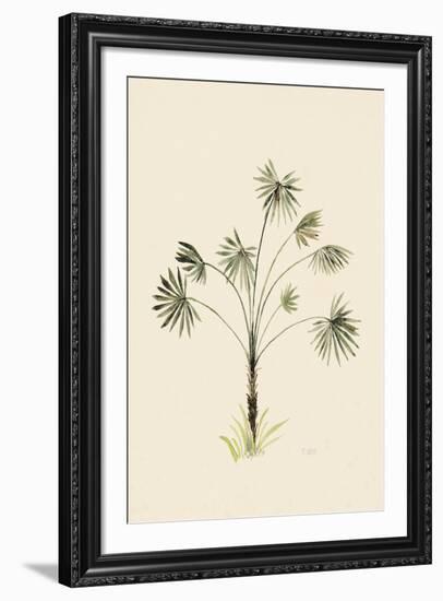 Rambala-The Vintage Collection-Framed Giclee Print