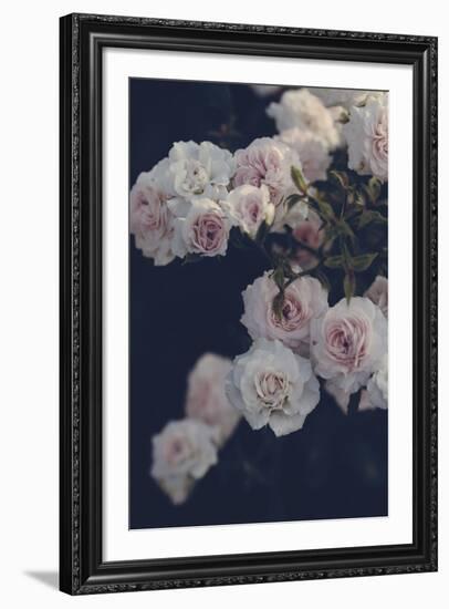 Rambling Roses-Irene Suchocki-Framed Giclee Print