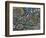 Ramblings, 2009-Maylee Christie-Framed Giclee Print