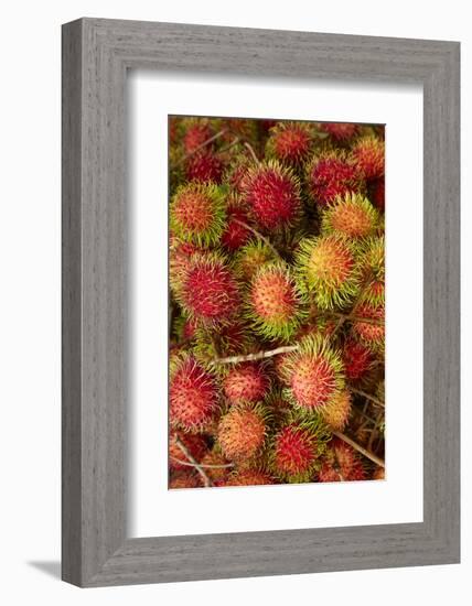 Rambutan fruit at Can Duoc Market, Long An Province, Mekong Delta, Vietnam-David Wall-Framed Photographic Print