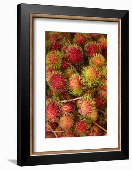 Rambutan fruit at Can Duoc Market, Long An Province, Mekong Delta, Vietnam-David Wall-Framed Photographic Print