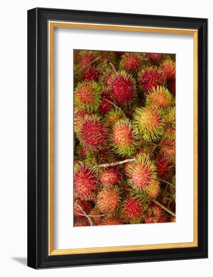 Rambutan fruit at Can Duoc Market, Long An Province, Mekong Delta, Vietnam-David Wall-Framed Photographic Print