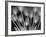 Ramo de Tulipanes-Moises Levy-Framed Photographic Print