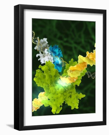 Photographic Print, , large