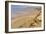 Ramon Crater, Negev In Israel-null-Framed Photographic Print