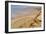 Ramon Crater, Negev In Israel-null-Framed Photographic Print