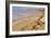 Ramon Crater, Negev In Israel-null-Framed Photographic Print