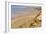 Ramon Crater, Negev In Israel-null-Framed Photographic Print