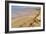 Ramon Crater, Negev In Israel-null-Framed Photographic Print