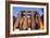 Ramses II Statues and Columns in the Luxor Temple Complex-Alex Saberi-Framed Photographic Print