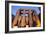 Ramses II Statues and Columns in the Luxor Temple Complex-Alex Saberi-Framed Photographic Print