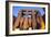 Ramses II Statues and Columns in the Luxor Temple Complex-Alex Saberi-Framed Photographic Print