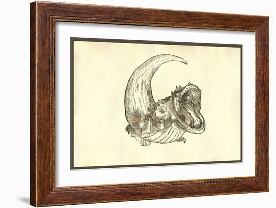 Rana Piscatrix Ala Feu Bufo Marinus-Ulisse Aldrovandi-Framed Art Print