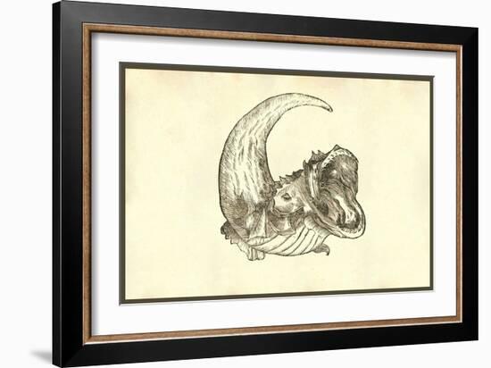 Rana Piscatrix Ala Feu Bufo Marinus-Ulisse Aldrovandi-Framed Art Print