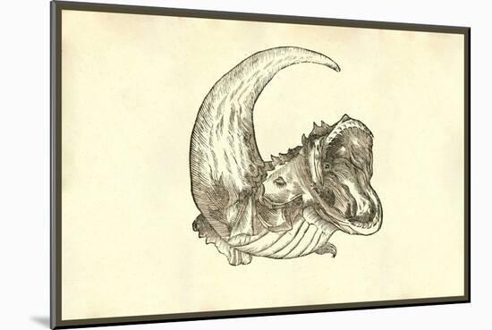 Rana Piscatrix Ala Feu Bufo Marinus-Ulisse Aldrovandi-Mounted Art Print