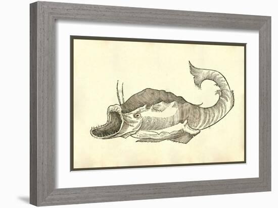 Rana Piscatrix Georgij Fabricij-Ulisse Aldrovandi-Framed Art Print