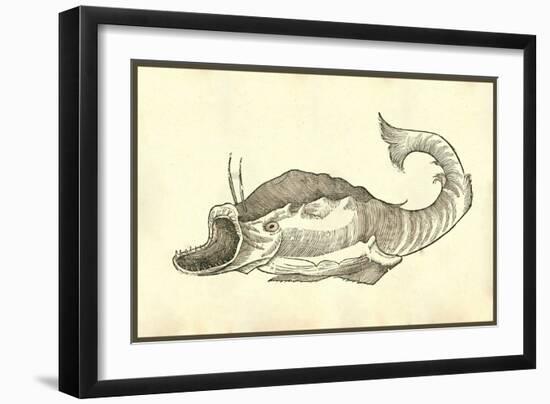 Rana Piscatrix Georgij Fabricij-Ulisse Aldrovandi-Framed Art Print