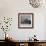 Ranch House after early Fall Blizzard, near Aspen, Colorado, 1941-Marion Post Wolcott-Framed Photographic Print displayed on a wall