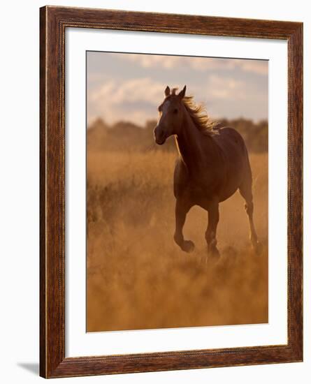 Ranch Living at The Ponderosa Ranch, Seneca, Oregon, USA-Joe Restuccia III-Framed Photographic Print