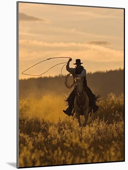 Ranch Living at The Ponderosa Ranch, Seneca, Oregon, USA-Joe Restuccia III-Mounted Photographic Print