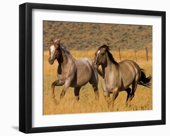 Ranch Living at The Ponderosa Ranch, Seneca, Oregon, USA-Joe Restuccia III-Framed Photographic Print