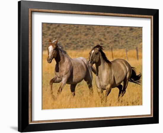 Ranch Living at The Ponderosa Ranch, Seneca, Oregon, USA-Joe Restuccia III-Framed Photographic Print