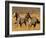 Ranch Living at The Ponderosa Ranch, Seneca, Oregon, USA-Joe Restuccia III-Framed Photographic Print