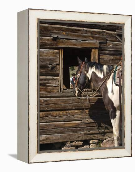 Ranch Living at The Ponderosa Ranch, Seneca, Oregon, USA-Joe Restuccia III-Framed Premier Image Canvas