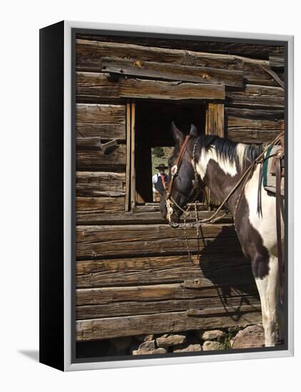 Ranch Living at The Ponderosa Ranch, Seneca, Oregon, USA-Joe Restuccia III-Framed Premier Image Canvas