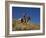 Ranch Living at The Ponderosa Ranch, Seneca, Oregon, USA-Joe Restuccia III-Framed Photographic Print