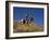 Ranch Living at The Ponderosa Ranch, Seneca, Oregon, USA-Joe Restuccia III-Framed Photographic Print