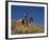 Ranch Living at The Ponderosa Ranch, Seneca, Oregon, USA-Joe Restuccia III-Framed Photographic Print