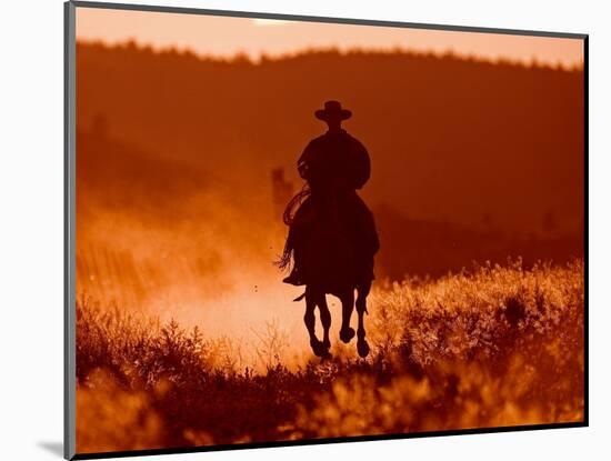 Ranch Living at The Ponderosa Ranch, Seneca, Oregon, USA-Joe Restuccia III-Mounted Photographic Print