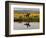 Ranch Living at The Ponderosa Ranch, Seneca, Oregon, USA-Joe Restuccia III-Framed Photographic Print