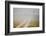 Ranch Road and Windmill in Fog, Texas, USA-Larry Ditto-Framed Photographic Print